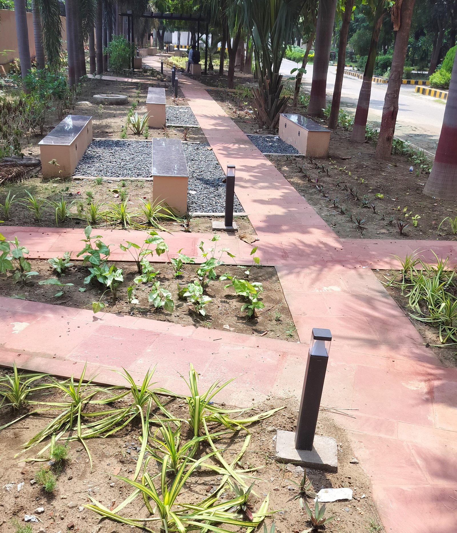 Campus Landscape design of Chankya National Law University