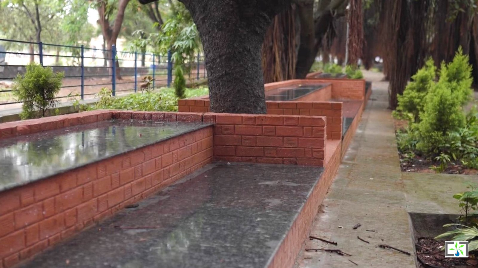 Banyan Tree Boulevard 7