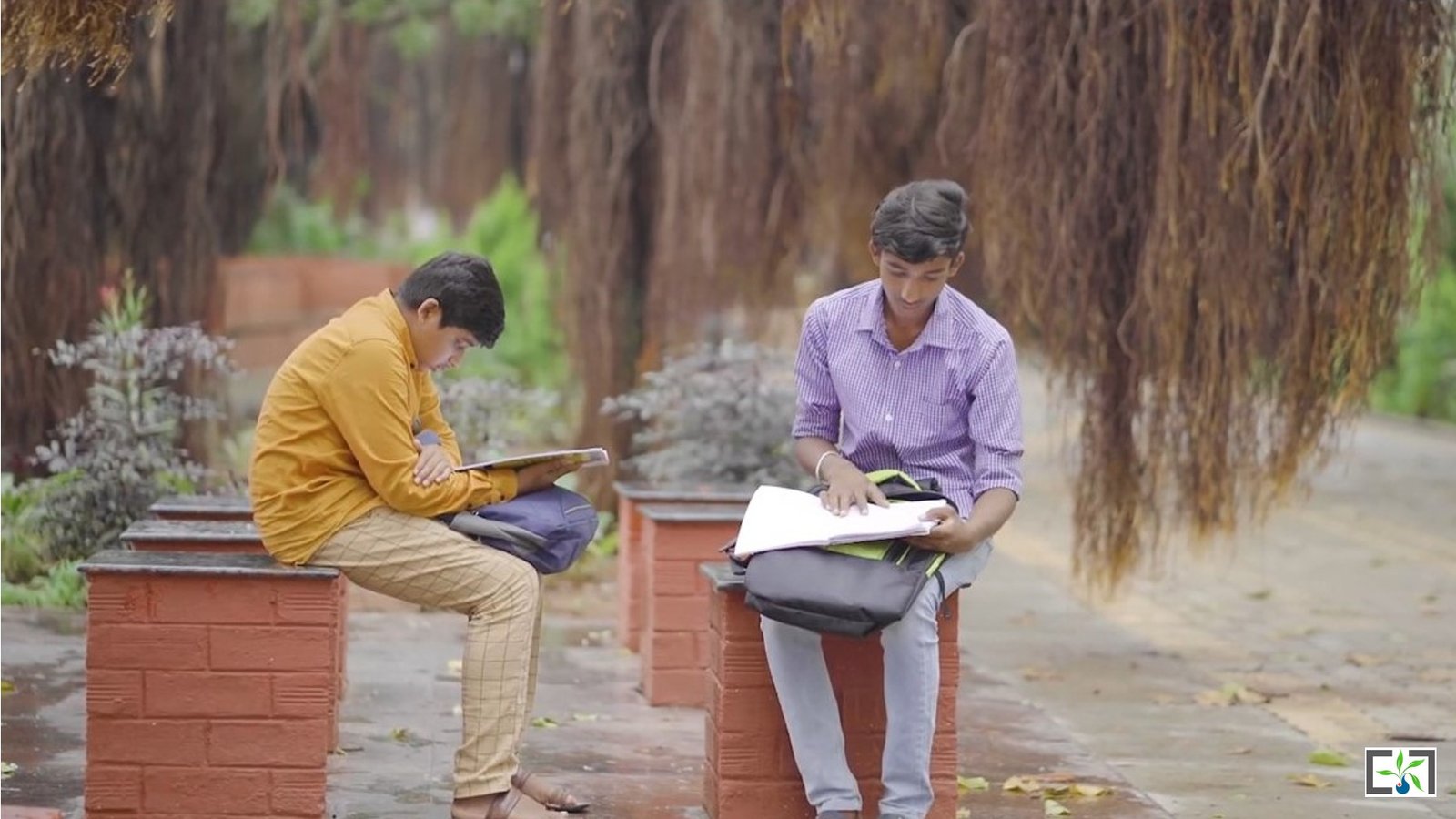 Banyan Tree Boulevard 3